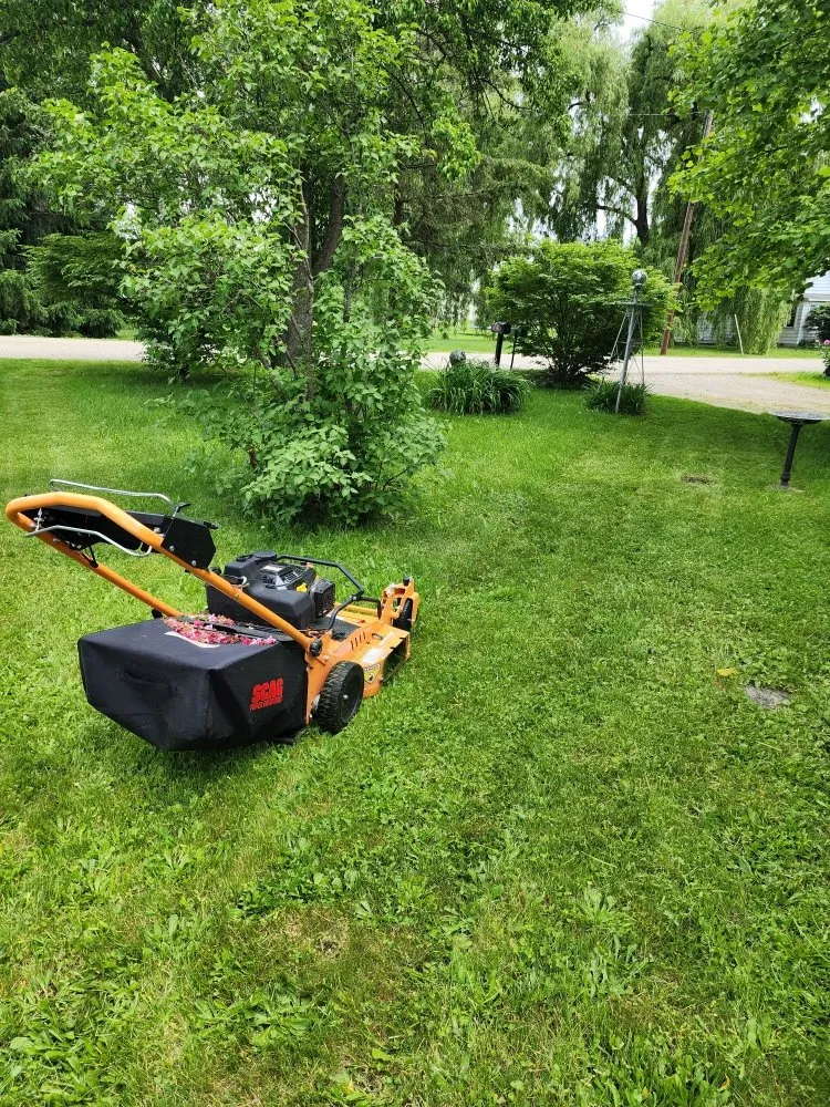 Expert landscaping services experts serving Sterling, MI - C&B Lawncare