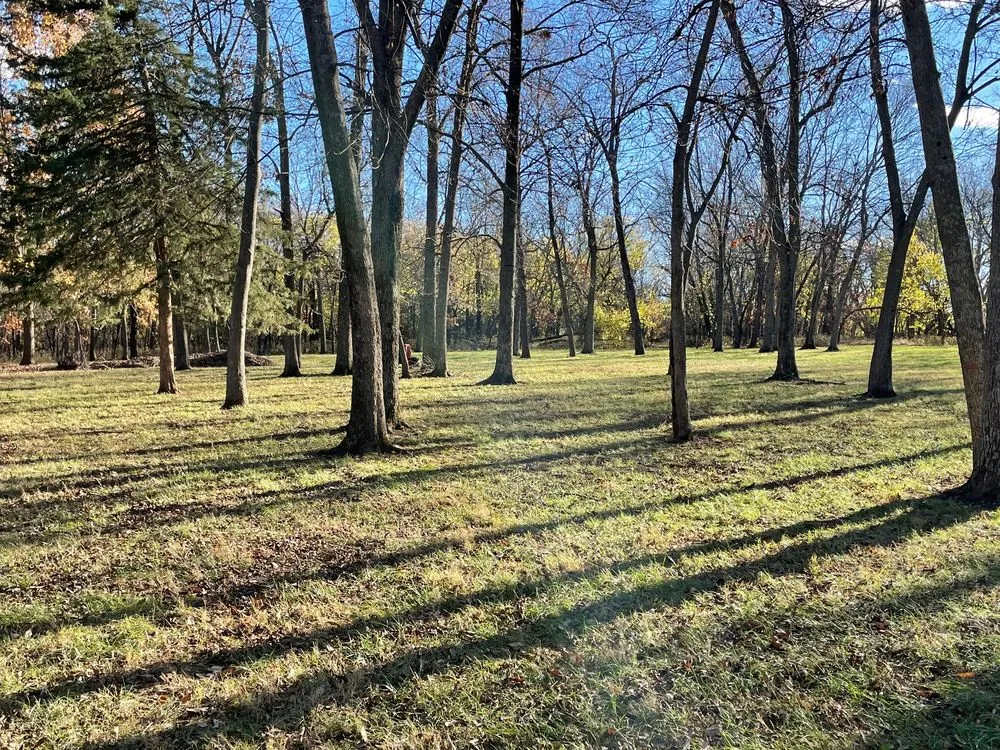 Top-rated yard cleanup service experts serving Overland Park, KS - CB Leaf Cleanup