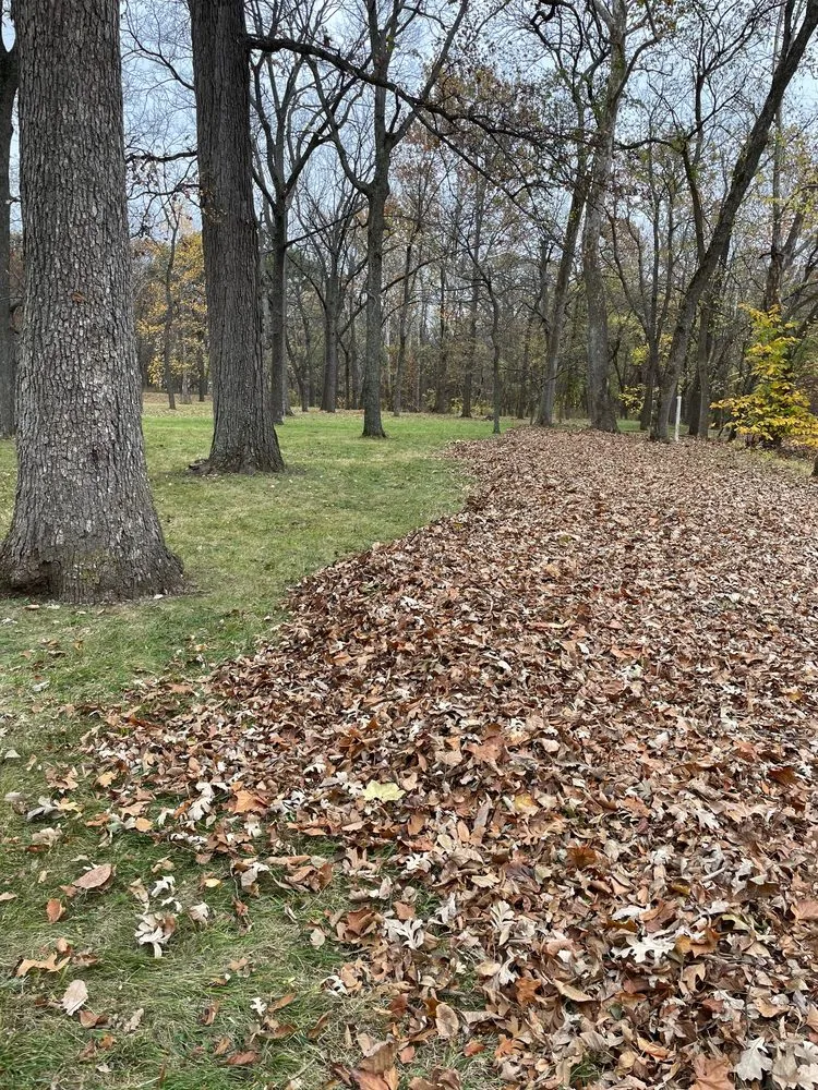 Affordable lawn mowing service experts serving Overland Park, KS - CB Leaf Cleanup