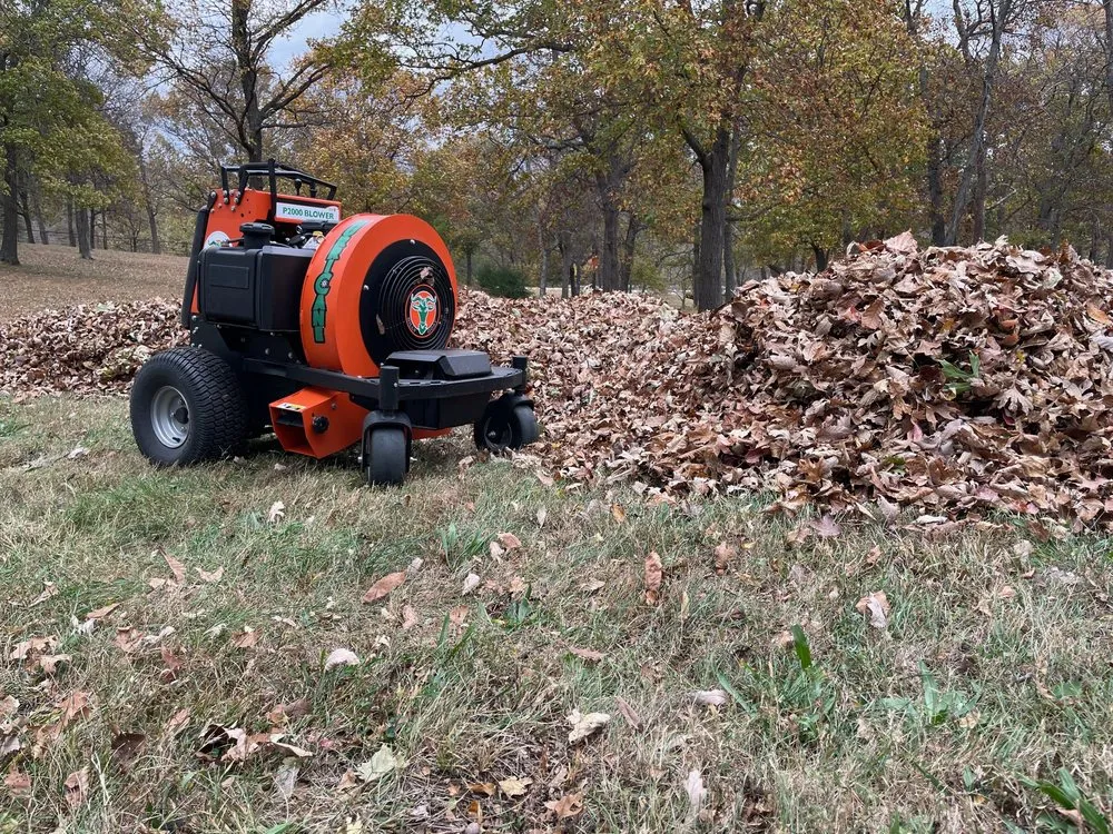 Professional yard maintenance experts serving Overland Park, KS - CB Leaf Cleanup