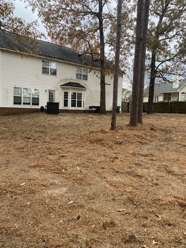 Trusted lawn care service for beautiful yards across Lexington, SC - CB Mowing & Hauling