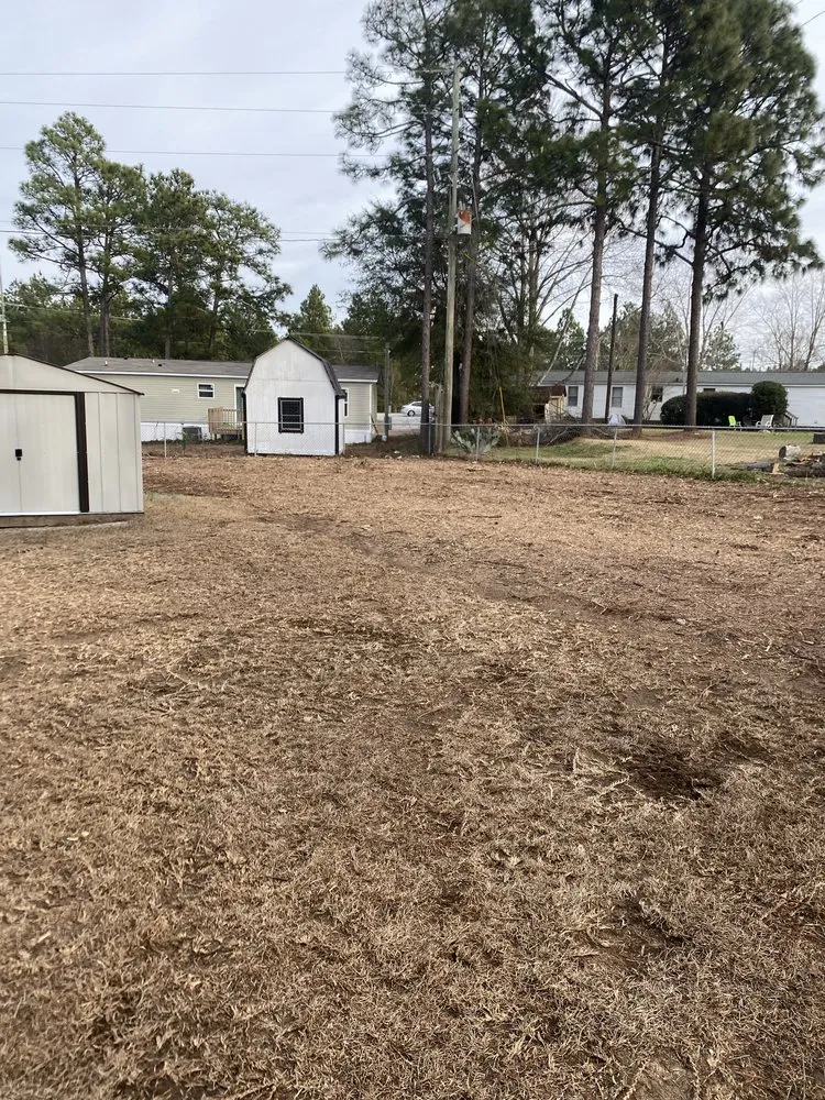 Professional landscape design for homes across Lexington, SC - CB Mowing & Hauling