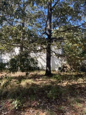 CB Mowing & Hauling Logo