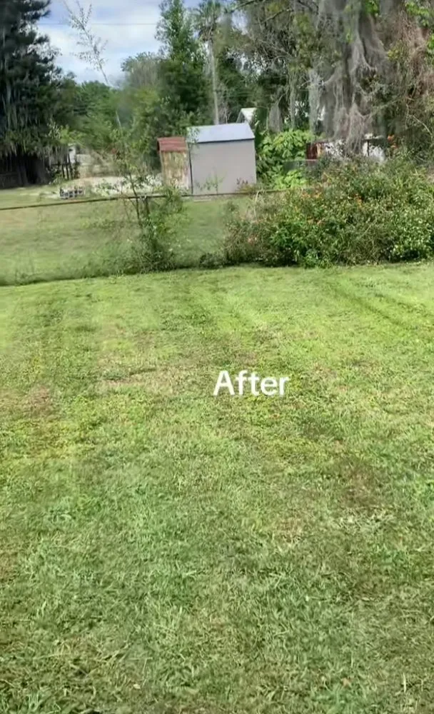 Local landscaping services experts serving New London, MO - CB Mowing