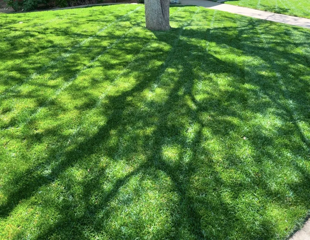 Local garden landscaping experts serving Lubbock, TX - CB Outdoor Solutions