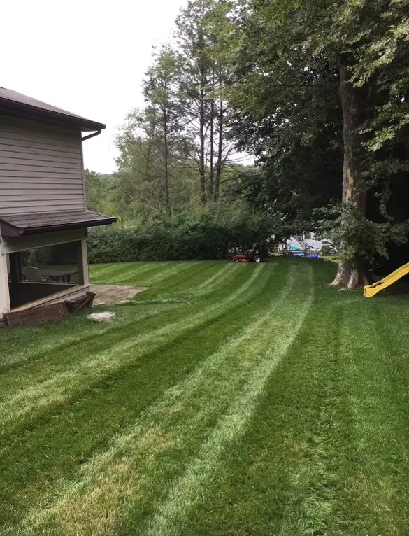 Expert lawn care service for outdoor upgrades in Sparta, NJ by CB Outdoors