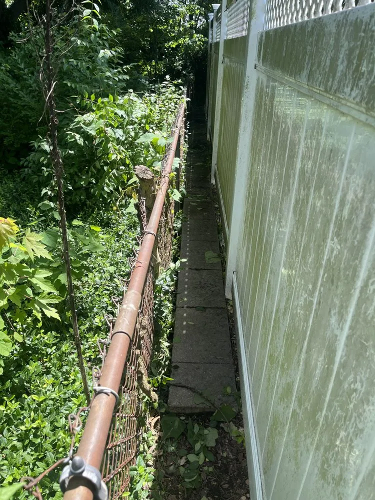 Professional yard cleanup service in Fairfield, OH - C&B Pressure Washing N More