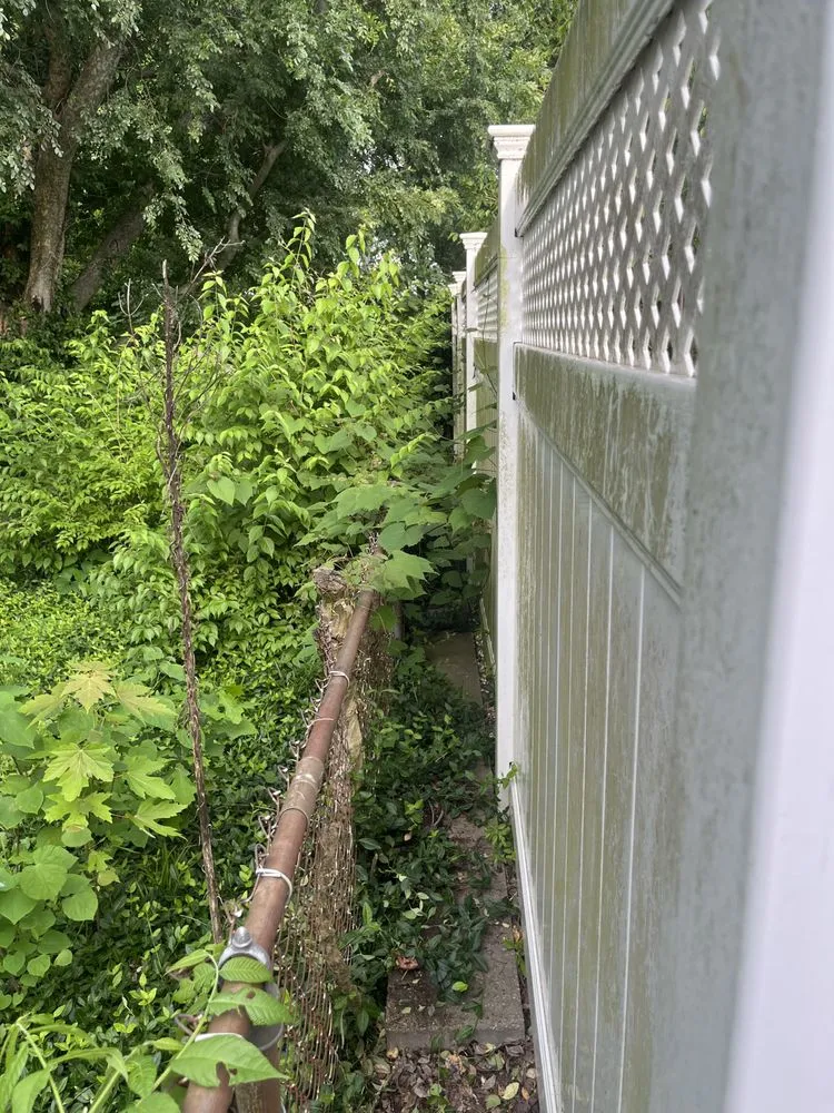 Affordable landscaping services with custom design across Fairfield, OH - C&B Pressure Washing N More