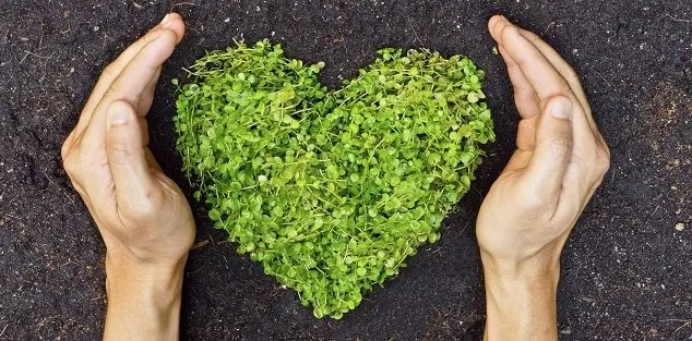 Custom residential landscaping in Glennville, GA by CB Property Maintenance