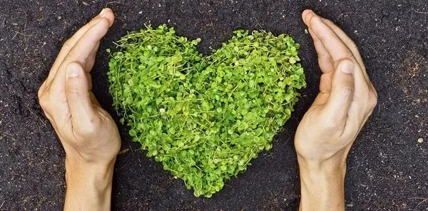 CB Property Maintenance Logo