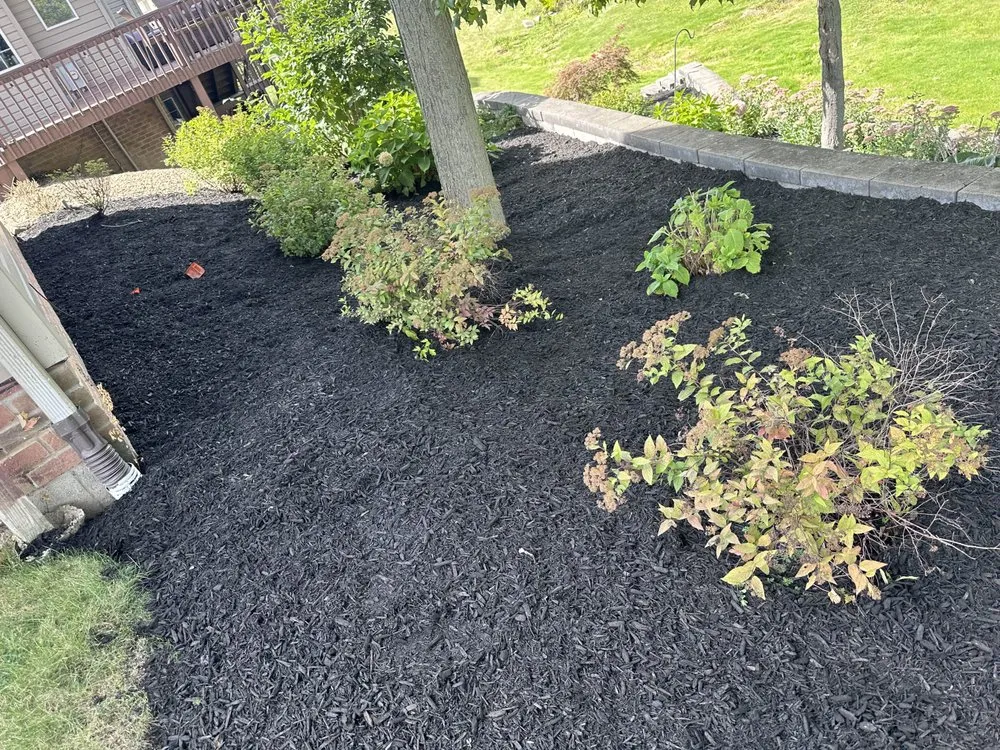 Trusted yard cleanup service in Cuyahoga Falls, OH by Cb Reliable Lawncare