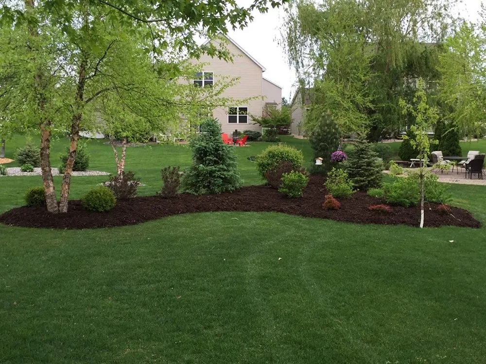 Local yard maintenance in Maple Grove, MN by CB Services Lawn, Landscape & Irrigation