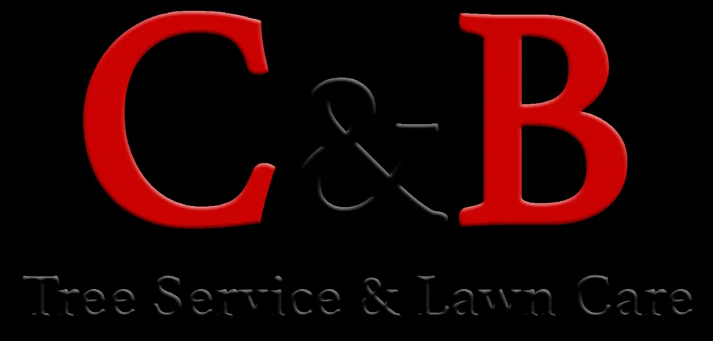Top-rated landscape design experts serving Carmichaels, PA - C&B Tree Service & Lawn Care