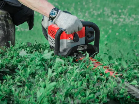 Trusted lawn care service with custom design across Carmichaels, PA - C&B Tree Service & Lawn Care