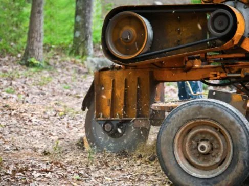 Expert landscape installation near you in Carmichaels, PA by C&B Tree Service & Lawn Care