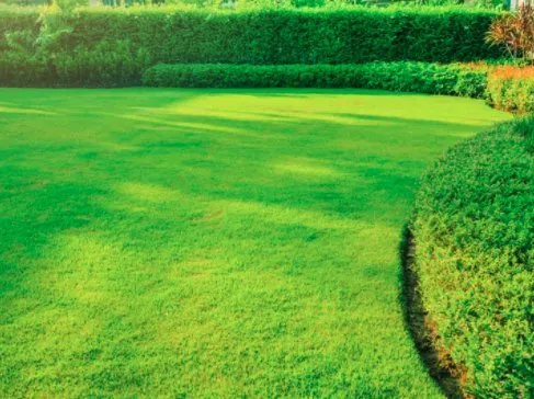 Trusted landscaping services in Carmichaels, PA by C&B Tree Service & Lawn Care