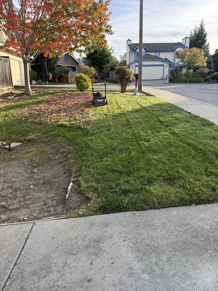 Local landscaping services near you across Hayward, CA - CBA Landscaping