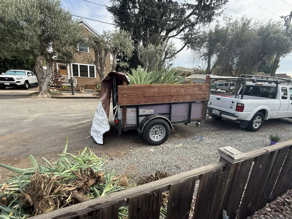 Custom garden landscaping in Hayward, CA by CBA Landscaping