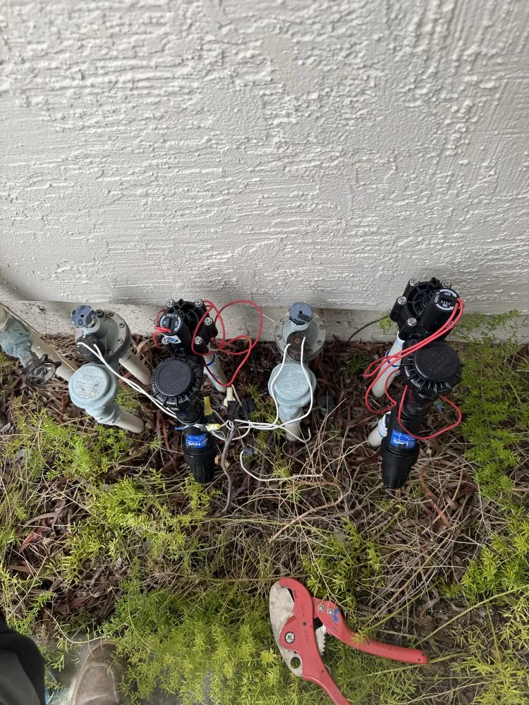 Expert landscape installation in Hayward, CA - CBA Landscaping