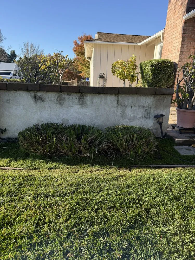 Trusted yard maintenance in Hayward, CA by CBA Landscaping