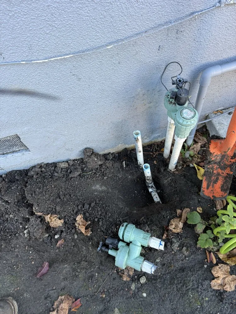 Professional yard maintenance in Hayward, CA - CBA Landscaping