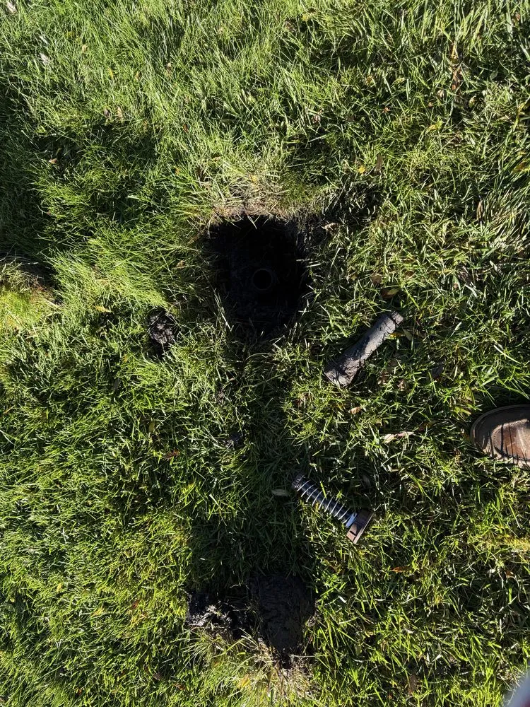 Top-rated yard cleanup service experts serving Hayward, CA - CBA Landscaping