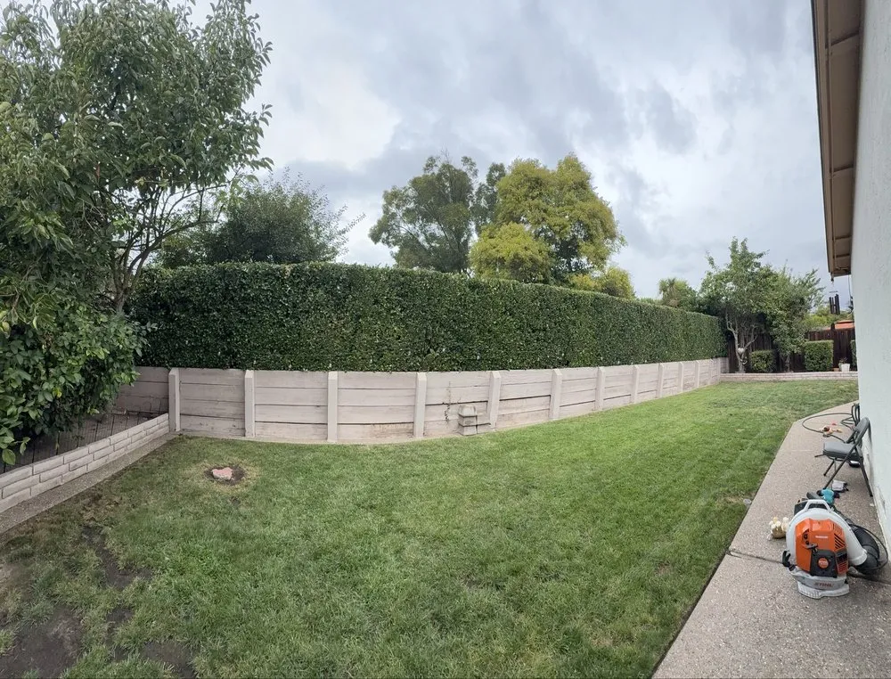 Trusted lawn mowing service for beautiful yards in Hayward, CA by CBA Landscaping