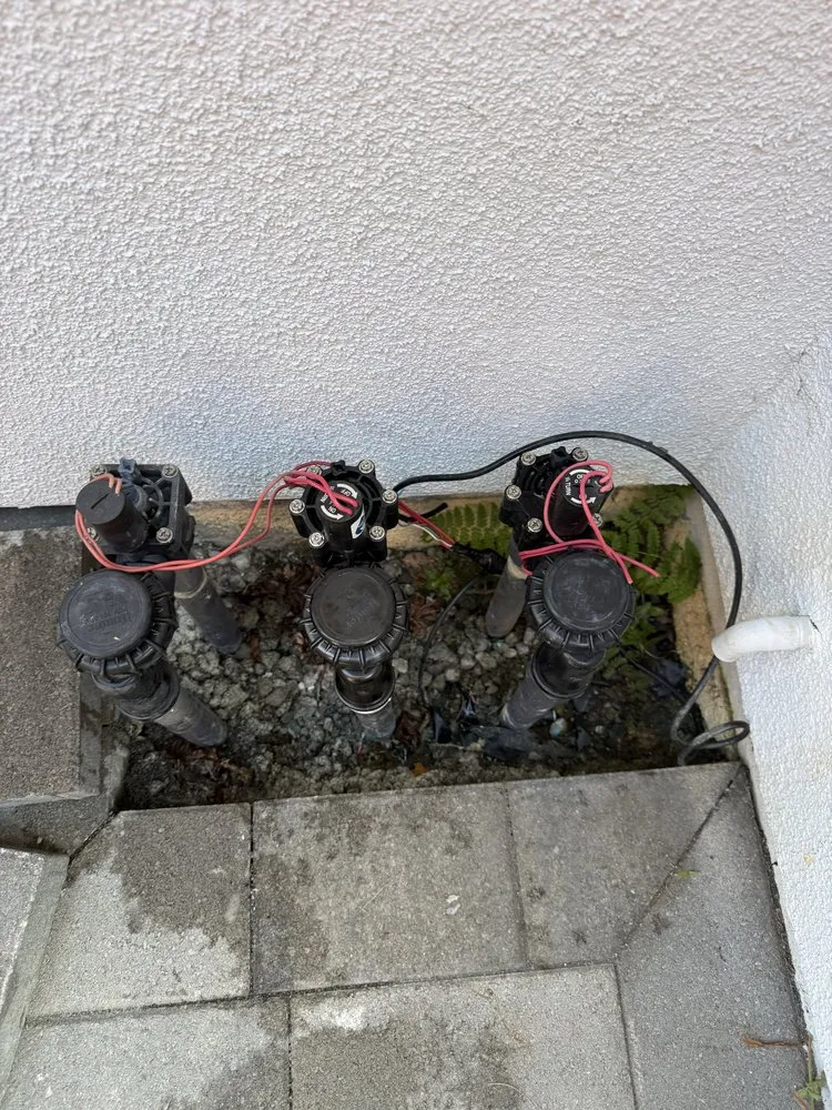 Expert garden landscaping in Hayward, CA - CBA Landscaping