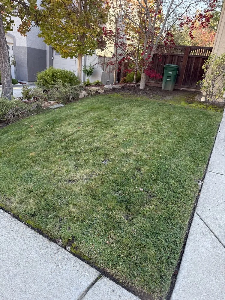 Professional yard cleanup service in Hayward, CA by CBA Landscaping