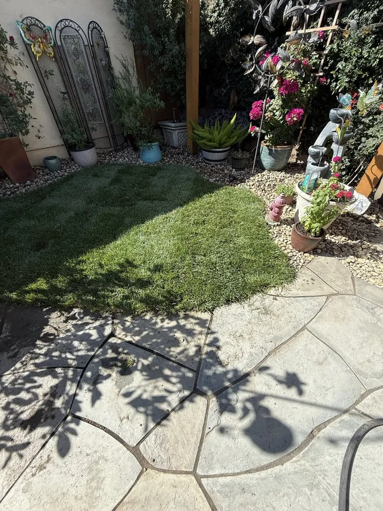 Affordable yard maintenance in Hayward, CA - CBA Landscaping