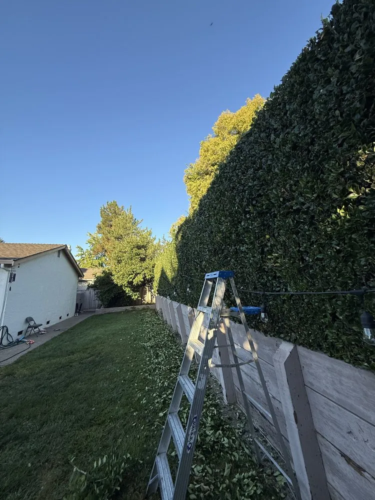 Trusted outdoor landscaping experts serving Hayward, CA - CBA Landscaping