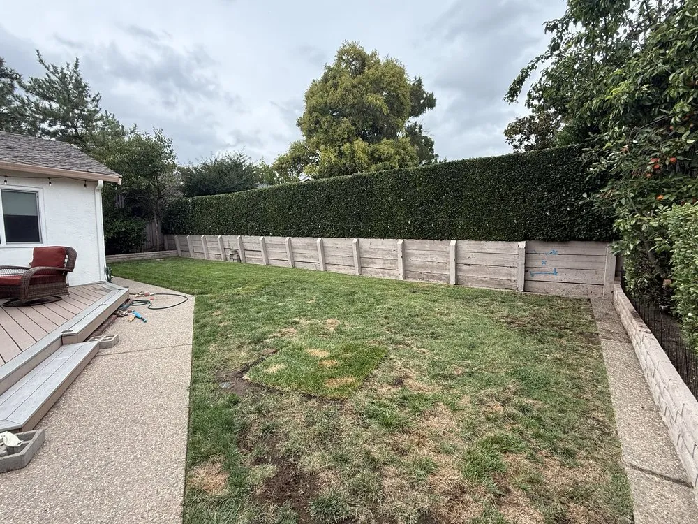 Top-rated outdoor landscaping experts serving Hayward, CA - CBA Landscaping