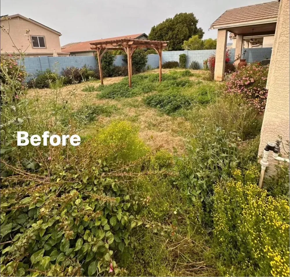 Top-rated lawn mowing service in Phoenix, AZ by CBA Landscaping