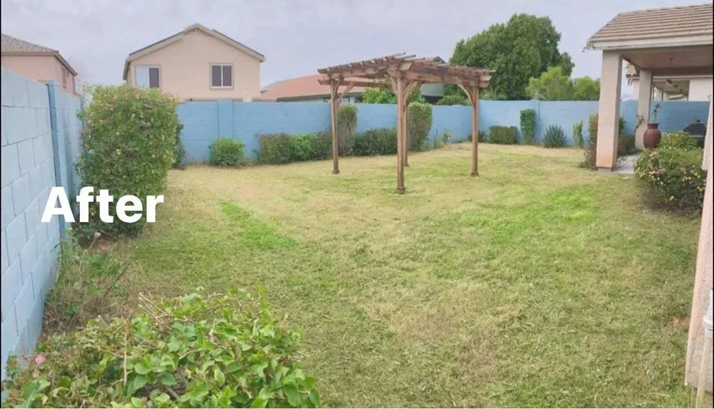 Reliable outdoor landscaping in Phoenix, AZ - CBA Landscaping