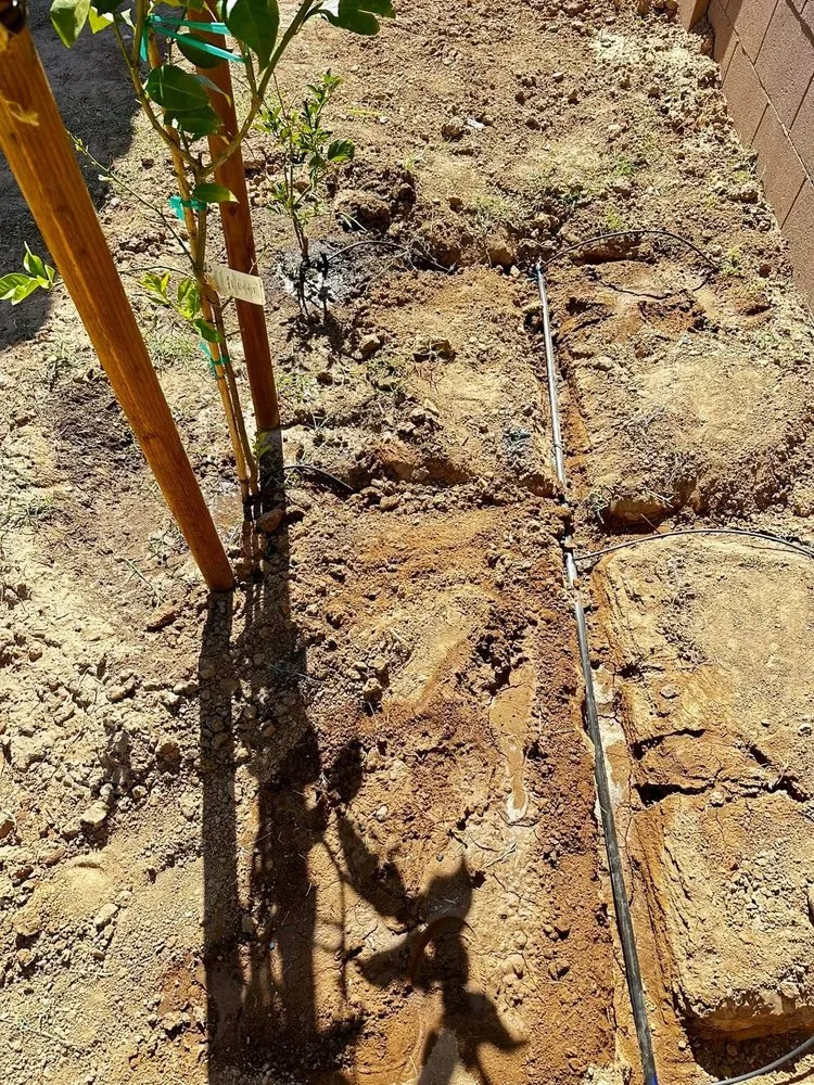 Affordable lawn mowing service with custom design across Phoenix, AZ - CBA Landscaping