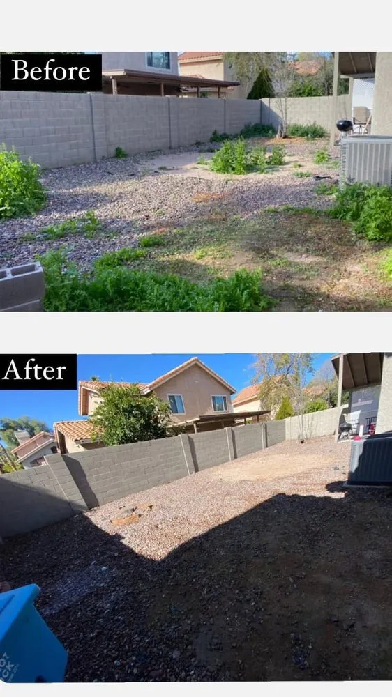 Local landscape installation in Phoenix, AZ - CBA Landscaping