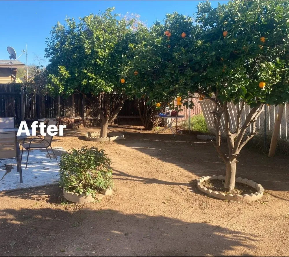 Professional landscape installation for outdoor upgrades across Phoenix, AZ - CBA Landscaping