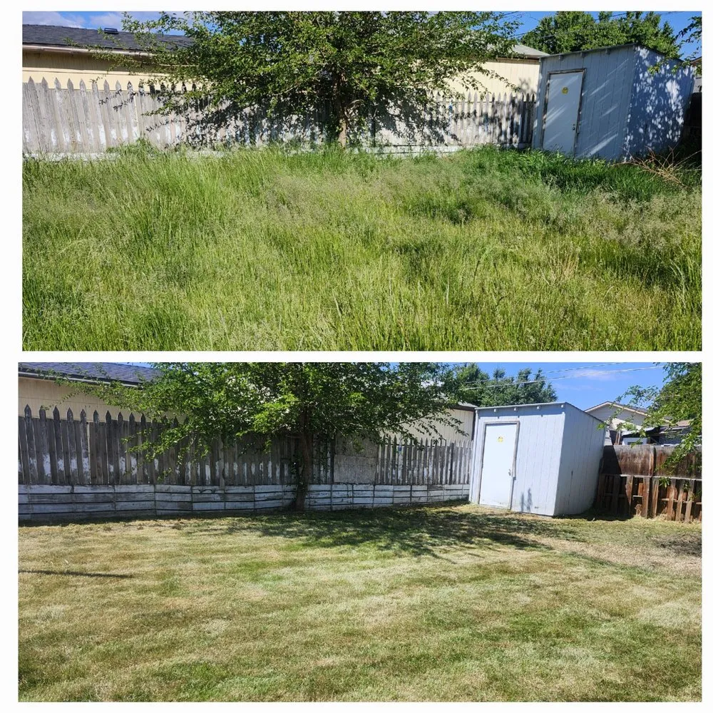 Trusted yard cleanup service for residential properties in Quincy, WA by CBE Landscaping