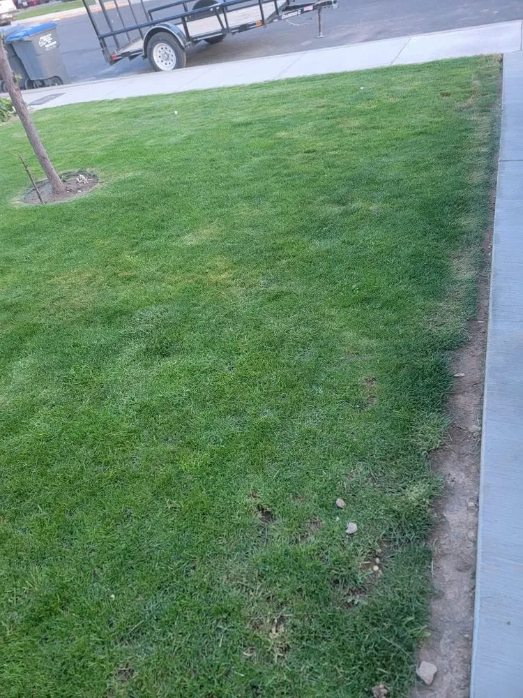 Expert yard cleanup service in Quincy, WA - CBE Landscaping