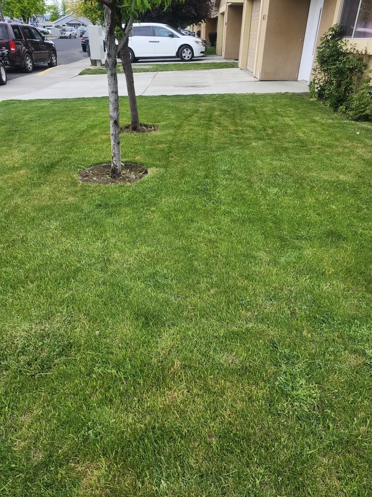 Expert lawn care service for outdoor upgrades in Quincy, WA by CBE Landscaping