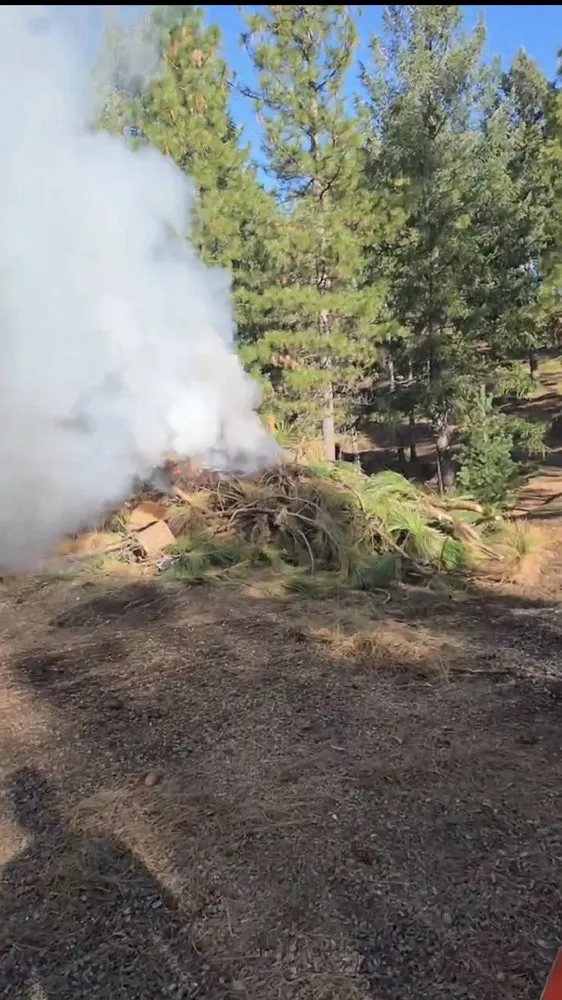 Trusted yard maintenance experts serving Pollock Pines, CA - CBJ