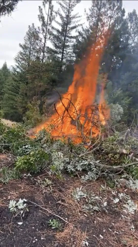 Affordable landscape installation in Pollock Pines, CA by CBJ