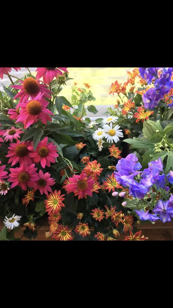 Custom garden landscaping in Brooklyn, NY by CBK Gardens