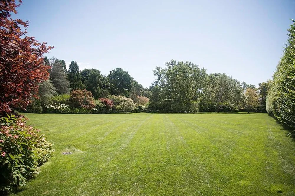 Local lawn care service with custom design in Brooklyn, NY by CBK Gardens