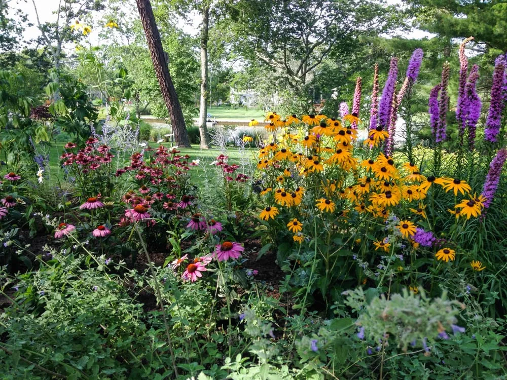 Top-rated lawn care service for residential properties in Brooklyn, NY by CBK Gardens