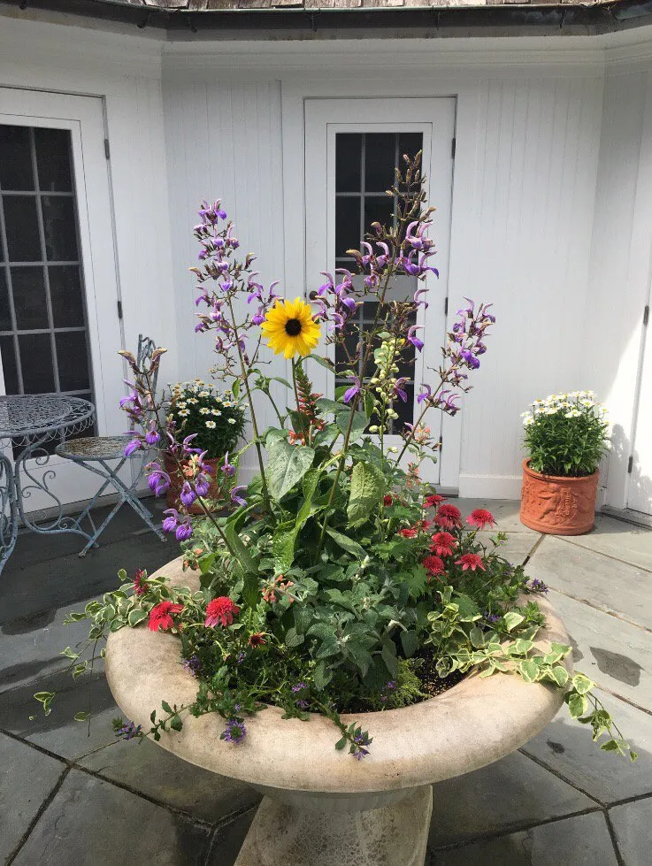 Local landscape installation in Brooklyn, NY - CBK Gardens