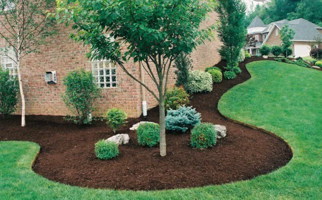 Top-rated lawn mowing service for year-round maintenance across Monmouth, NJ - CBM Junk Removal