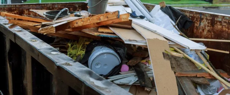 Reliable landscaping services for outdoor upgrades across Monmouth, NJ - CBM Junk Removal