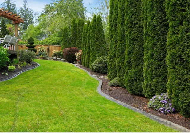 Affordable outdoor landscaping for year-round maintenance in Monmouth, NJ by CBM Junk Removal