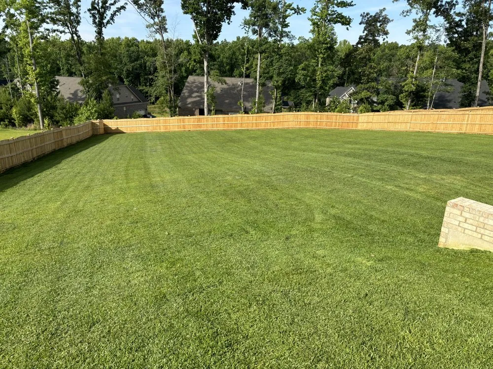 Reliable landscape installation for year-round maintenance across Lexington, SC - Cbm Landscapes